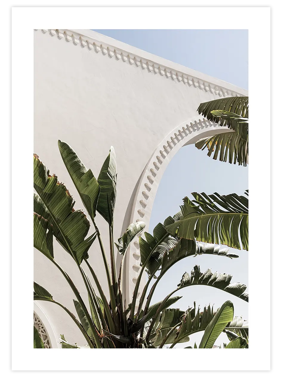 Banana Tree - Art Print Fotoğraflar Poster