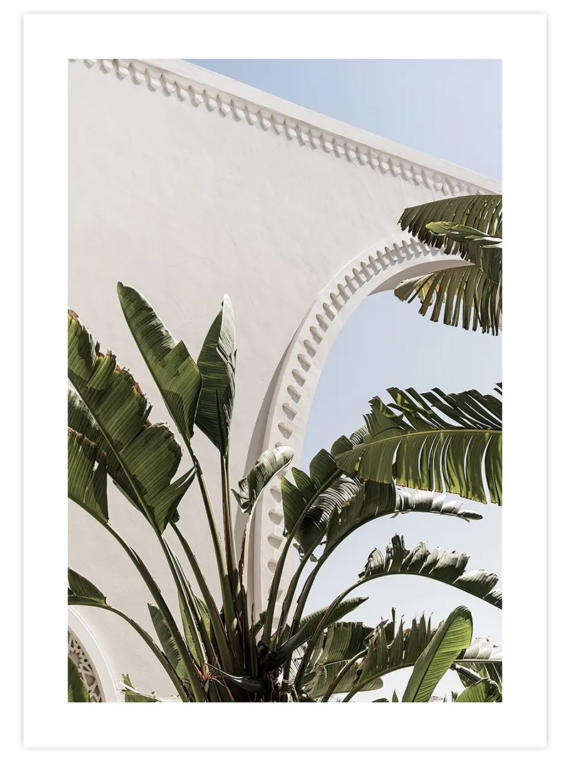 Banana Tree - Art Print Fotoğraflar Poster