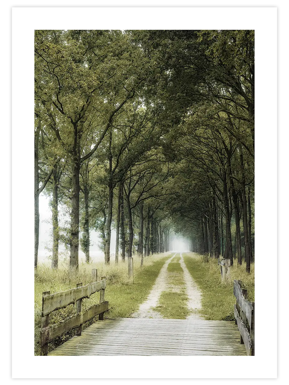 Patika Yol - Art Print Fotoğraflar Poster