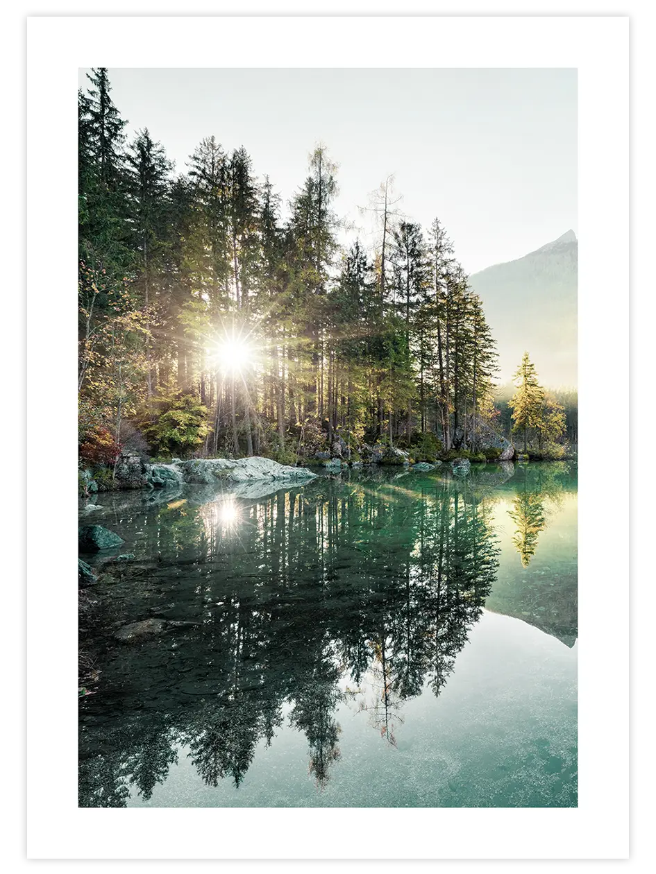 Nature Vibes - Art Print Fotoğraflar Poster
