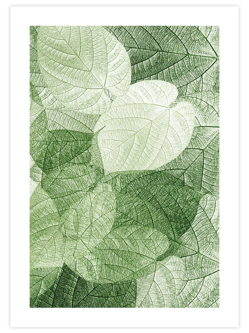 Sanatın Doğası - Art Print Fotoğraflar Poster