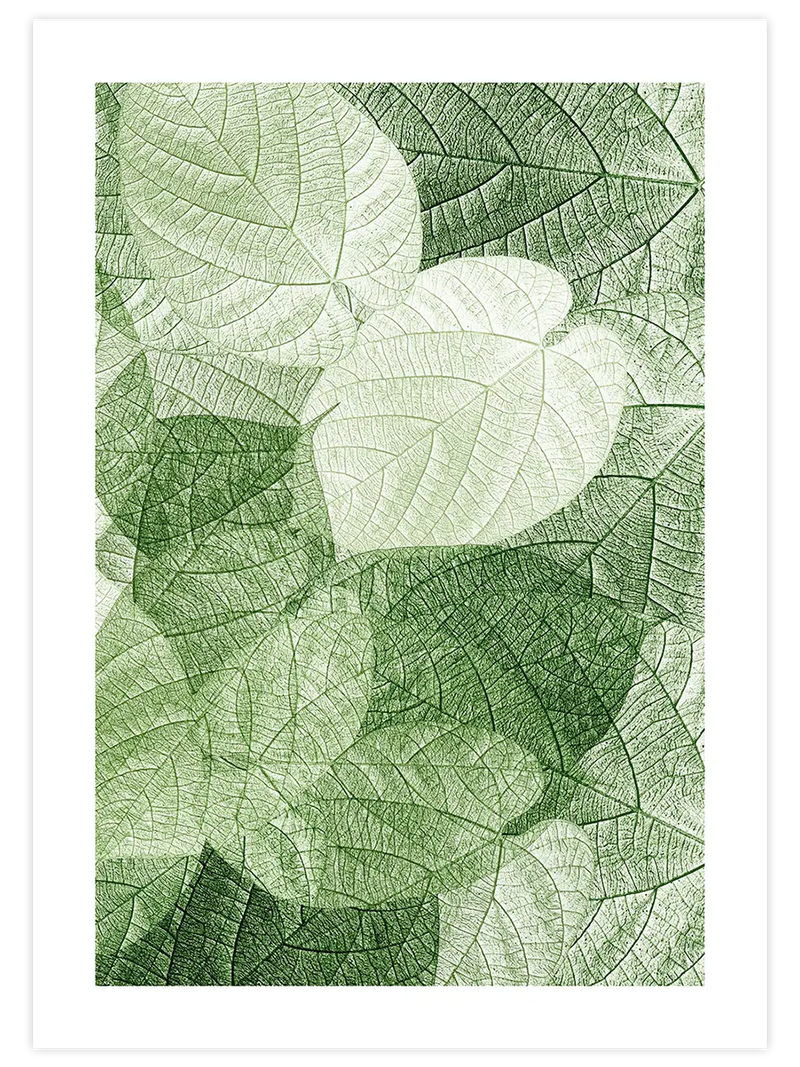 Sanatın Doğası - Art Print Fotoğraflar Poster