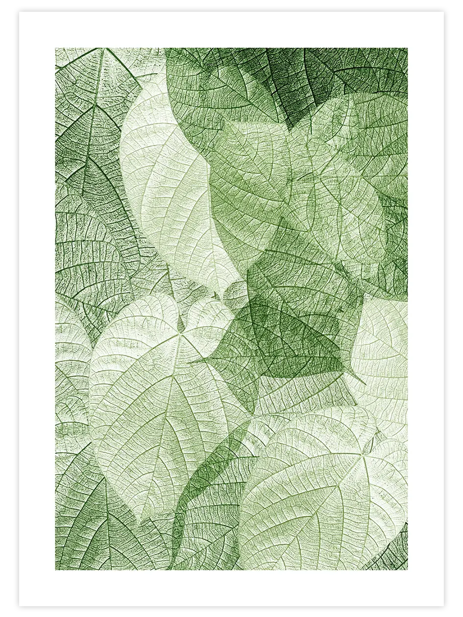 Sanatın Doğası 2 - Art Print Fotoğraflar Poster