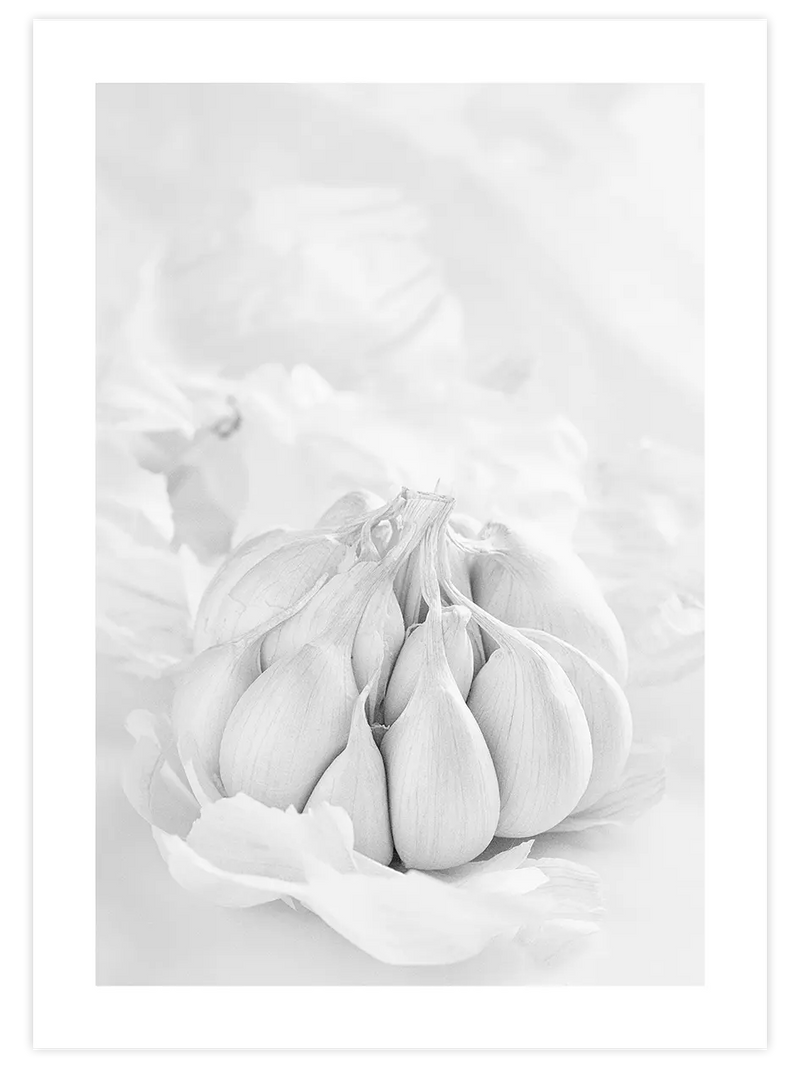 Garlic - Art Print Fotoğraflar Poster
