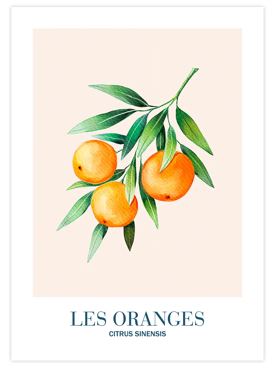 Les Oranges - Art Print Mutfak Poster