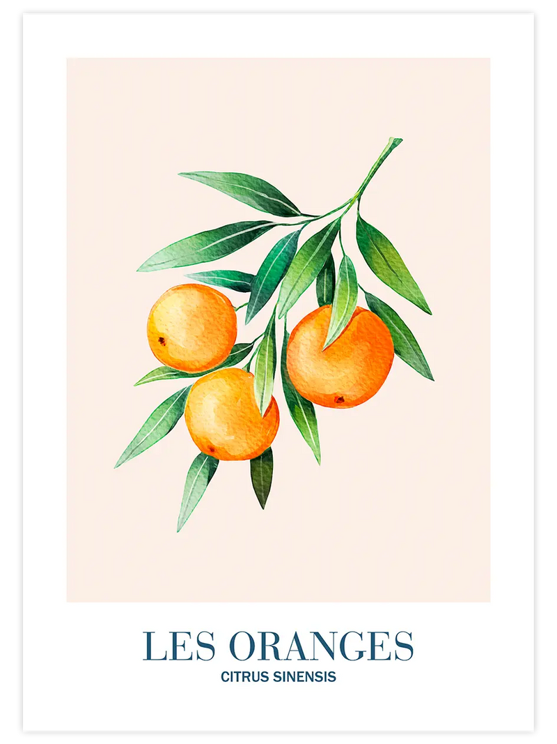 Les Oranges - Art Print Mutfak Poster