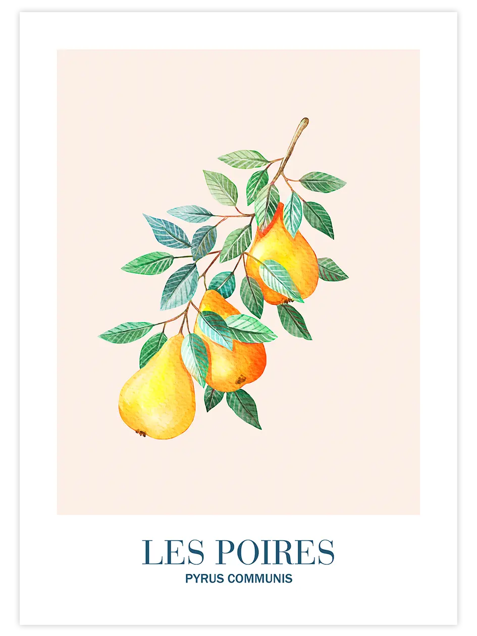 Les Poires - Art Print Mutfak Poster
