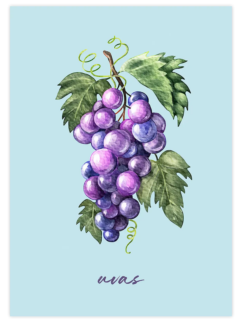 Uvas - Art Print Mutfak Poster