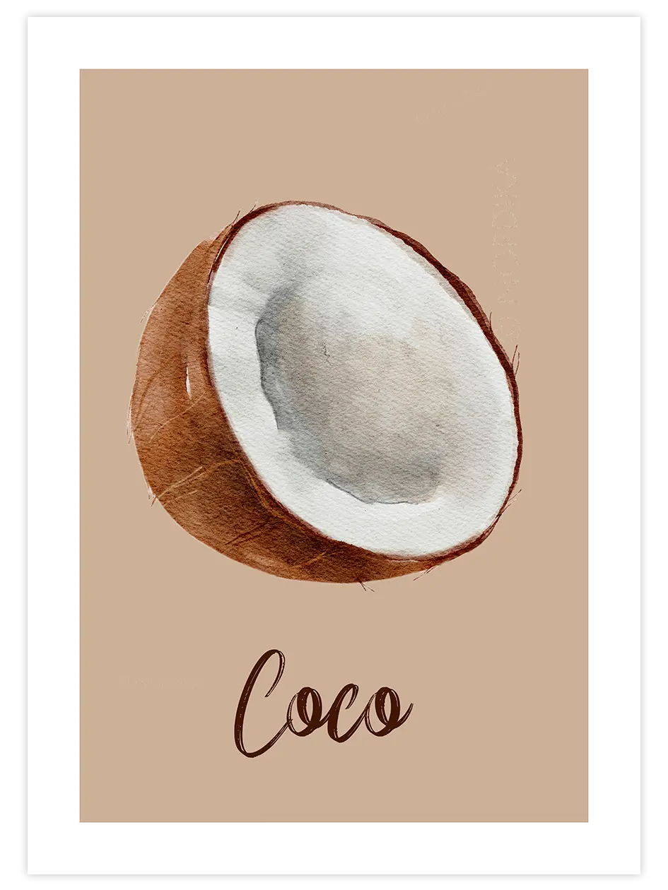 Coconut - Art Print Mutfak Poster
