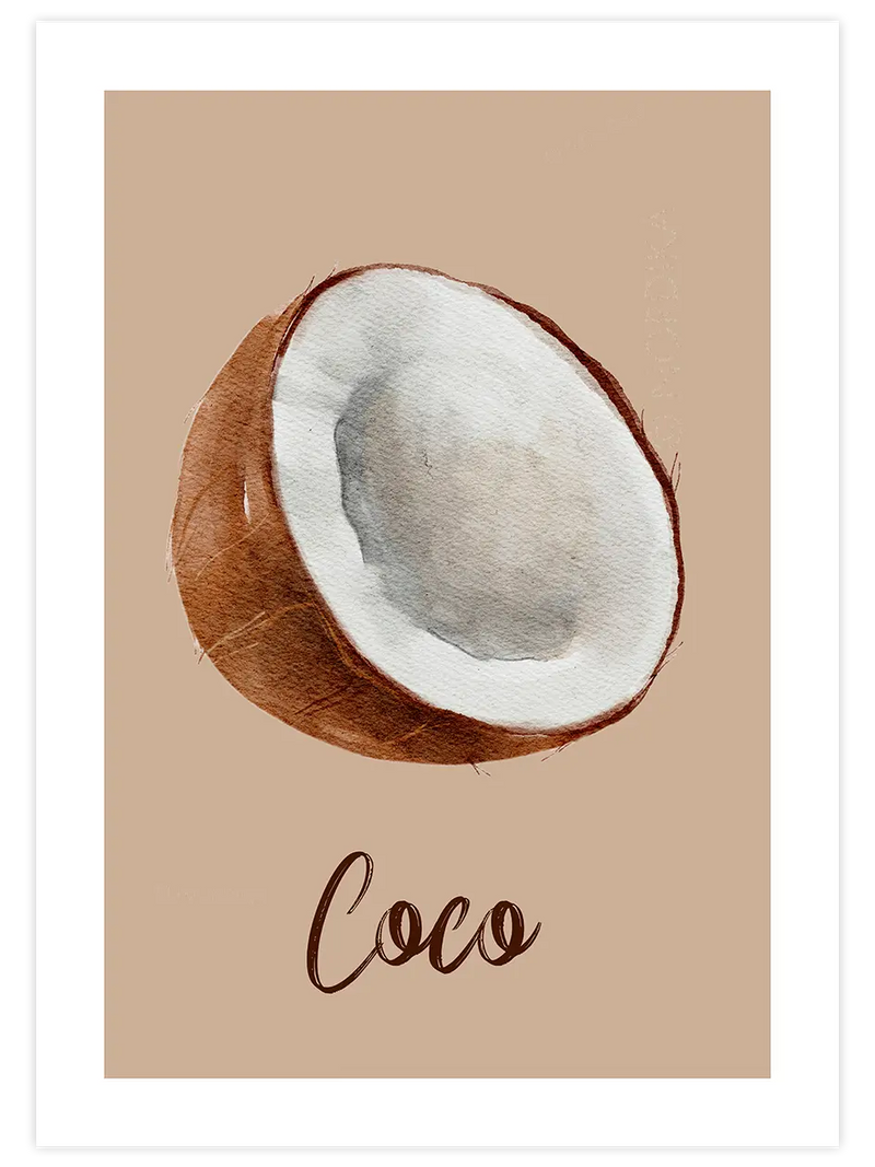 Coconut - Art Print Mutfak Poster