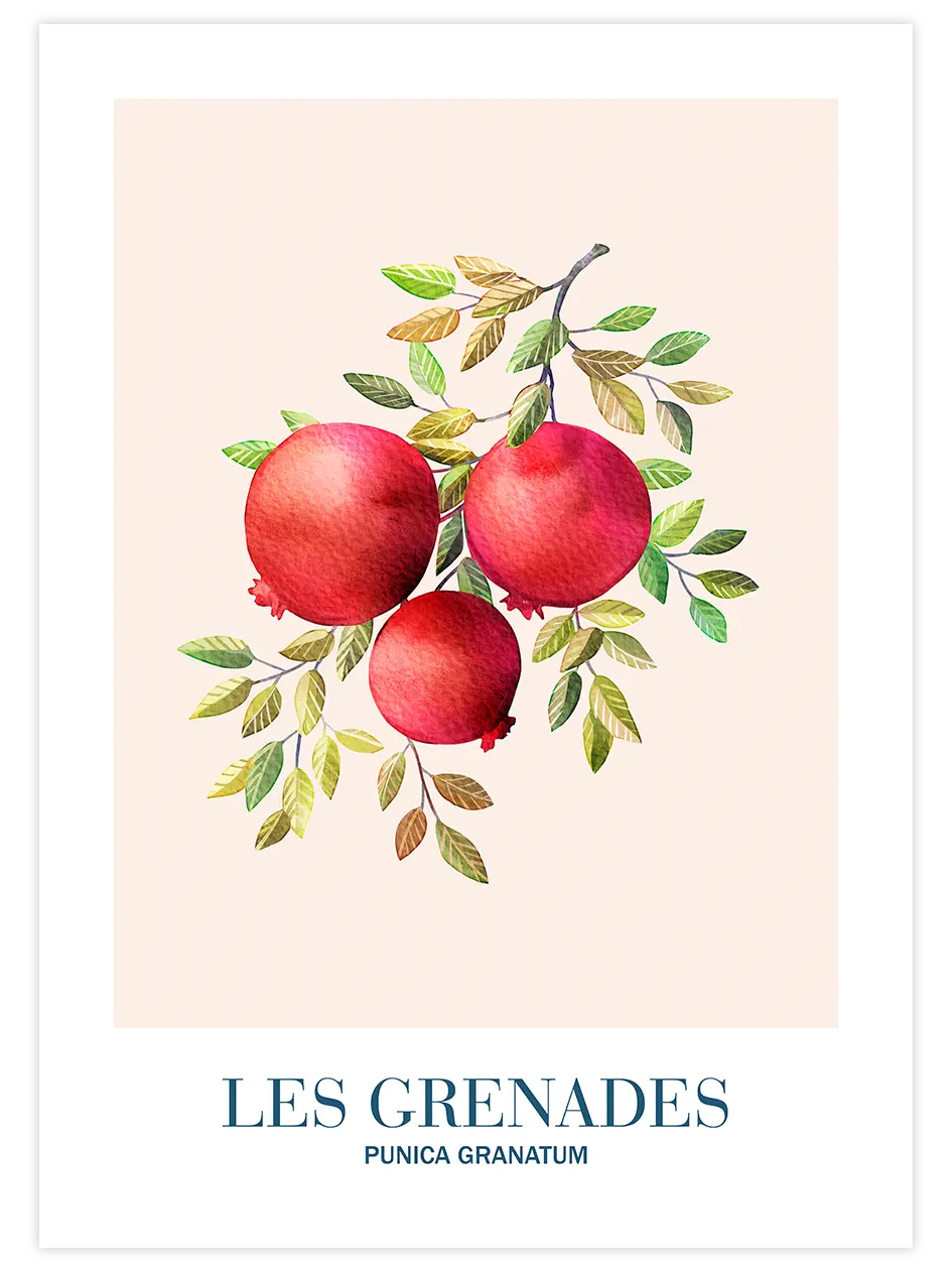 Les Grenades - Art Print Mutfak Poster