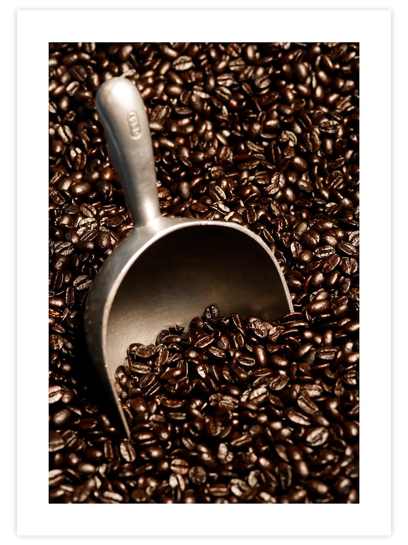 Kahve Çekirdekleri - Art Print Fotoğraflar Poster