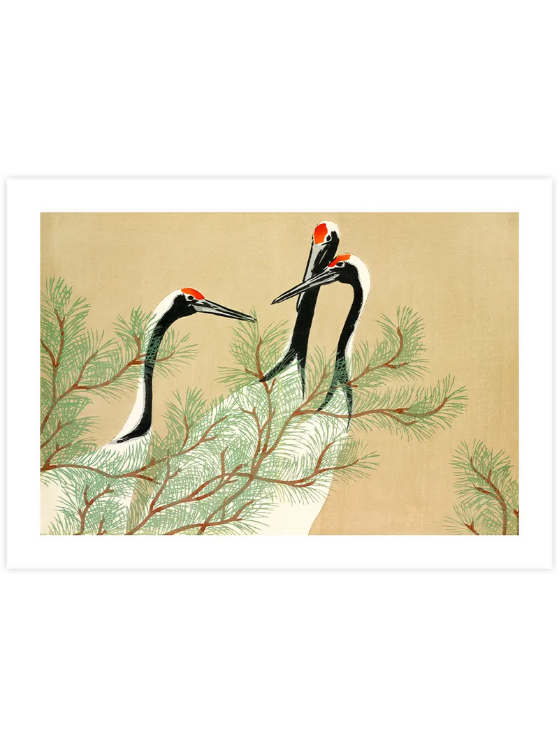 Kamisaka Sekka Cranes from Momoyogusa - Art Print Ünlü Ressamlar Poster