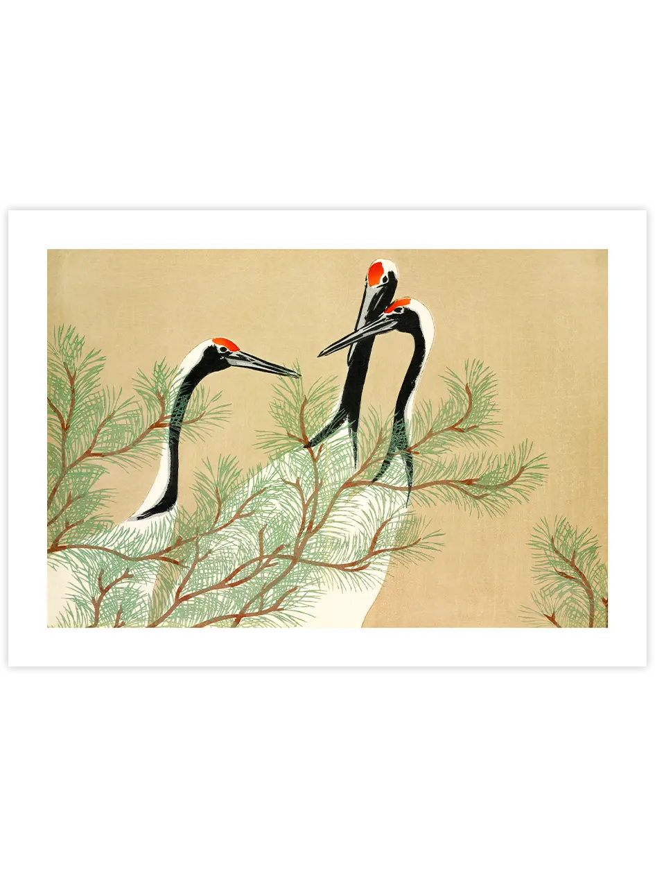 Kamisaka Sekka Cranes from Momoyogusa - Art Print Ünlü Ressamlar Poster