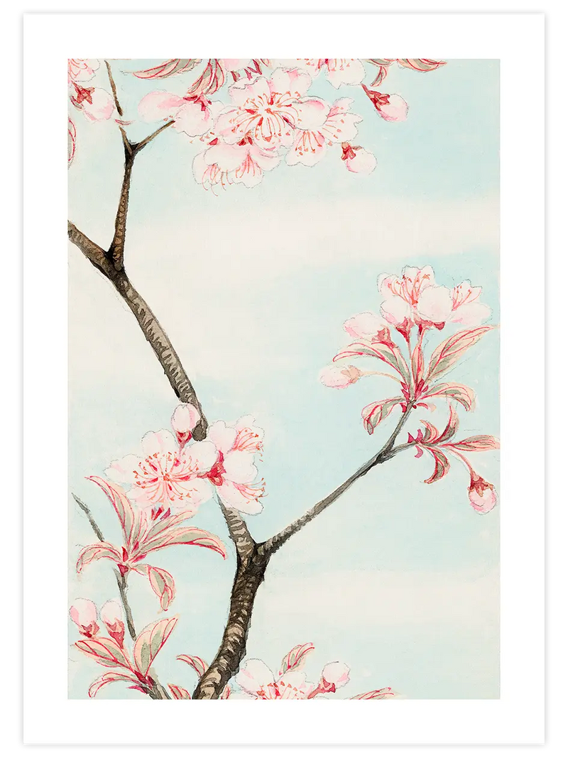 Sakura Cherry - Art Print Ünlü Ressamlar Poster