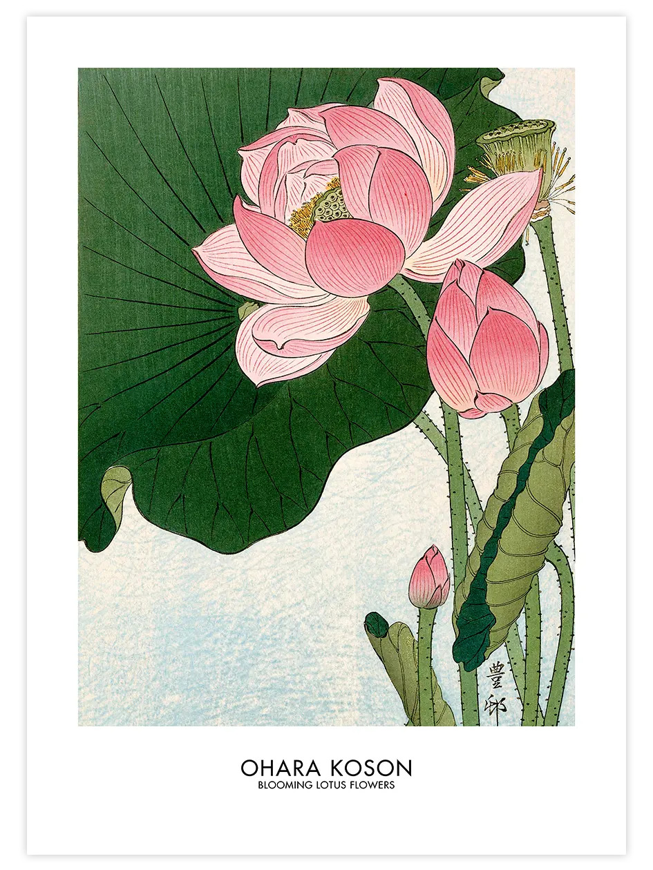 Ohara Koson Blooming Lotus Flowers - Art Print Ünlü Ressamlar Poster