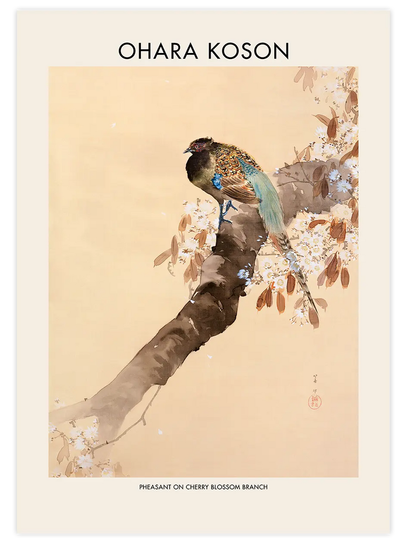 Ohara Koson Pheasant On A Cherry Blossom Branch - Art Print Ünlü Ressamlar Poster