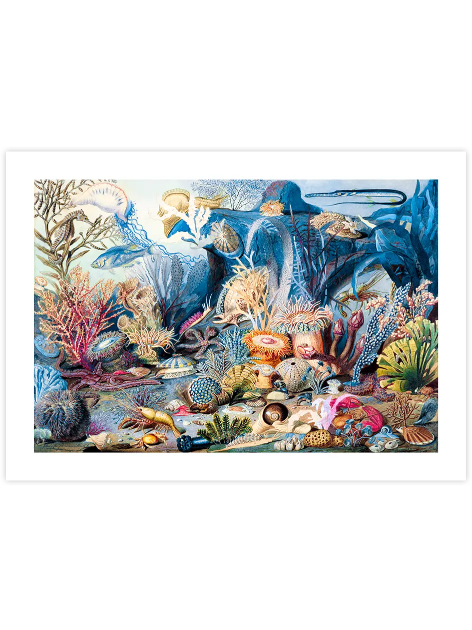 Su Altı Dünyası - Art Print Ünlü Ressamlar Poster