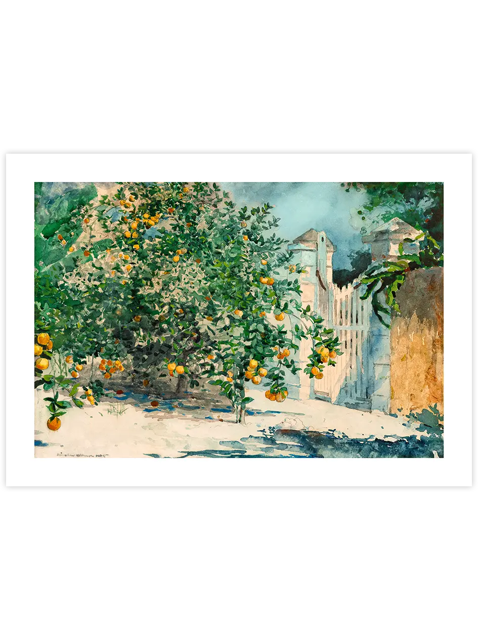 Winslow Homer Orange Trees and Gate - Art Print Ünlü Ressamlar Poster
