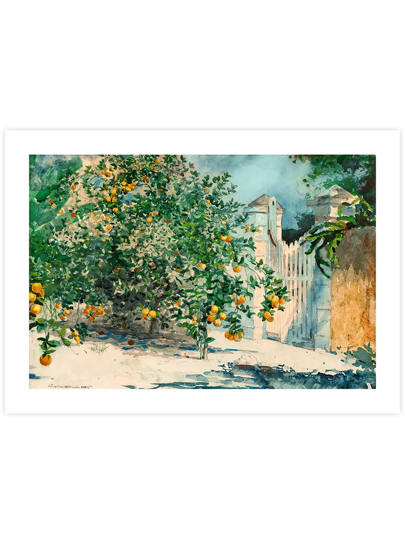 Winslow Homer Orange Trees and Gate - Art Print Ünlü Ressamlar Poster