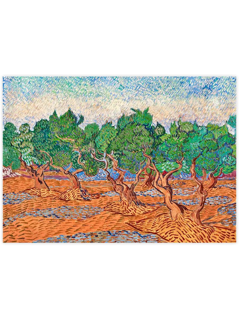 Van Gogh Olive Trees - Art Print Ünlü Ressamlar Poster