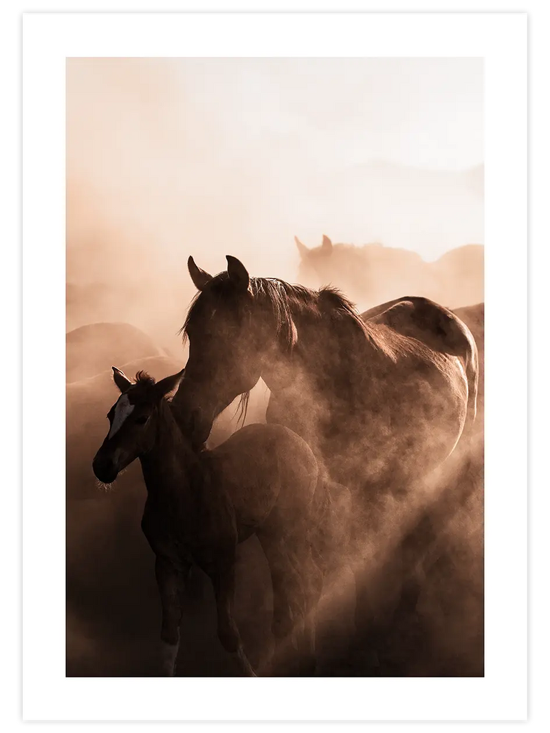 Anne At ve Tay - Art Print Fotoğraflar Poster