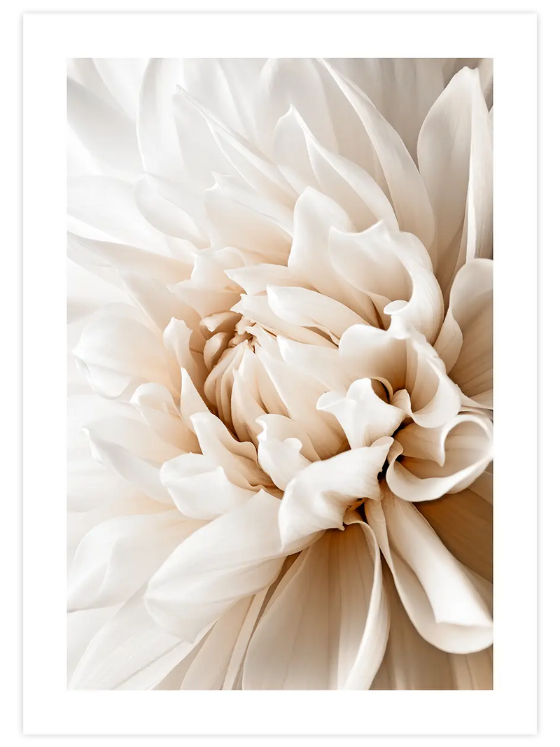 Art in Flower - Art Print Fotoğraflar Poster