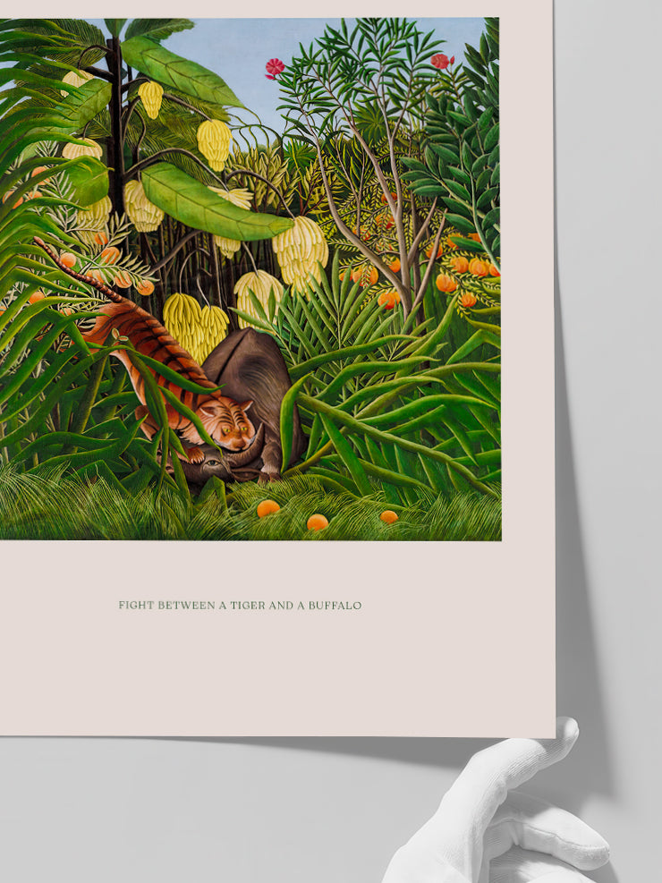 Henri Rousseau Bir Kaplan ve Bir Bufalo Arasındaki Dövüş - Art Print Poster
