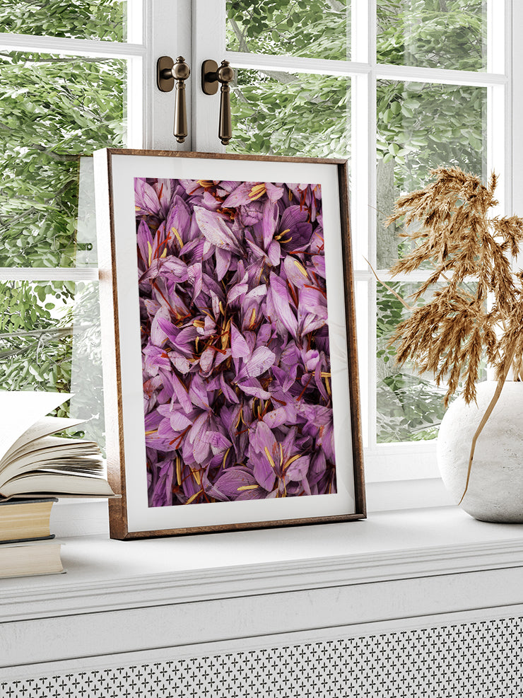 Safran - Art Print Poster