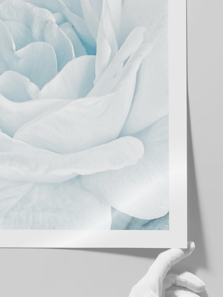Petals - Art Print Poster