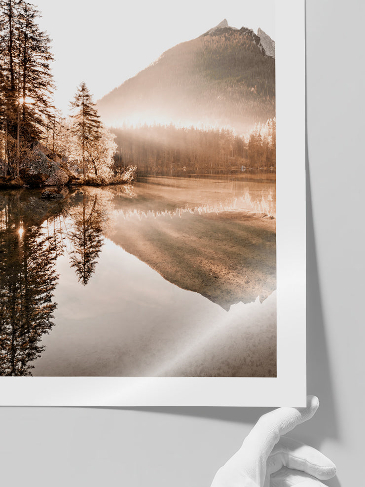 Golden Morning N2 - Art Print Poster