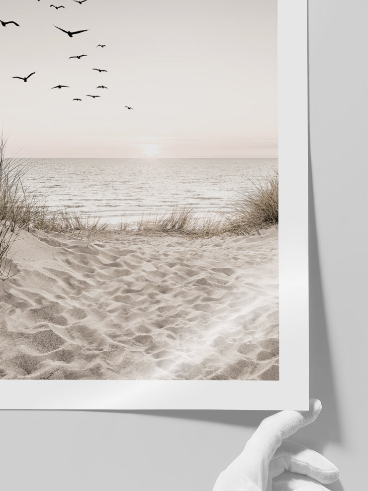 Sunset - Art Print Poster