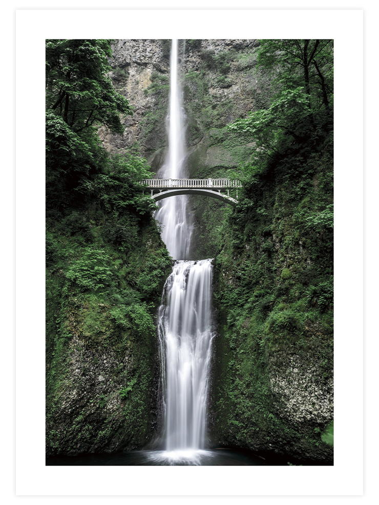 Naturally Green Poster Seti Poster