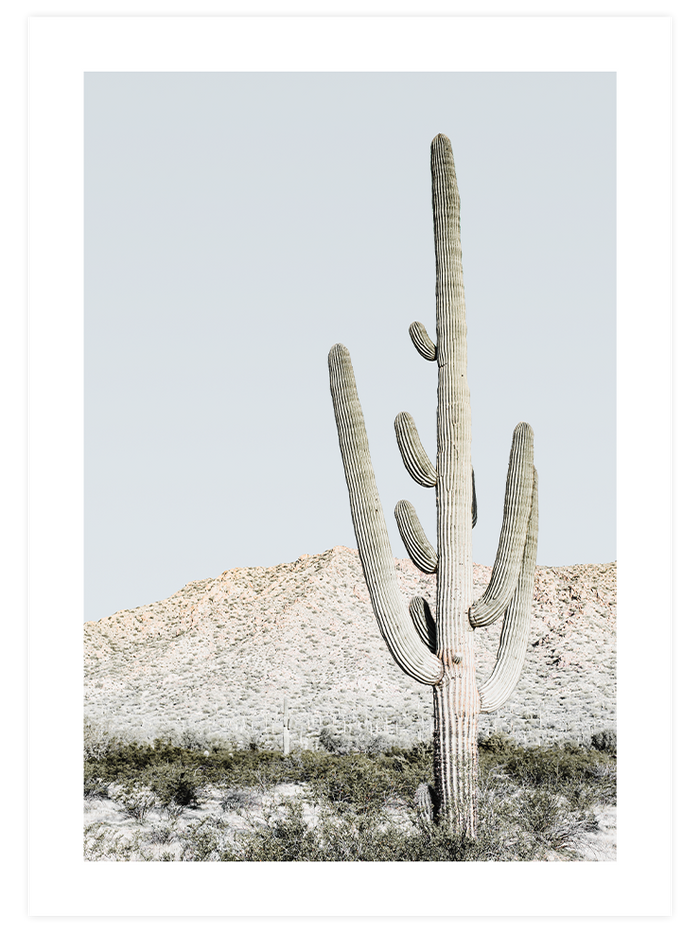 Couleurs Soft - Poster Seti Duo Poster