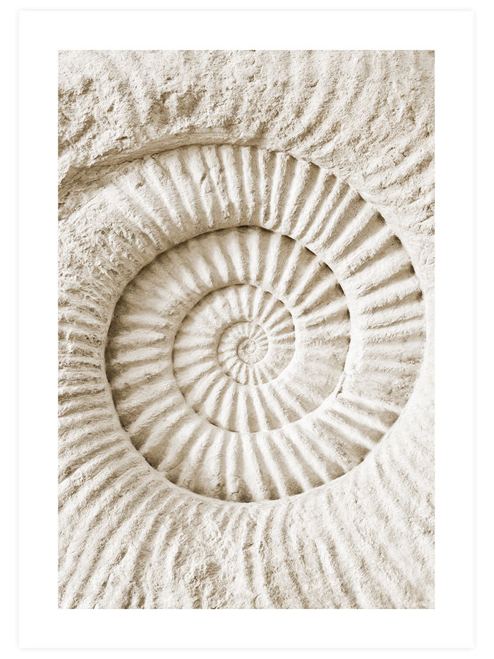 Relaxing Corner Poster Seti
