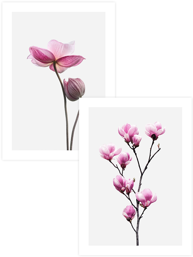 Flower Power - Poster Seti Duo Fotoğraflar Poster