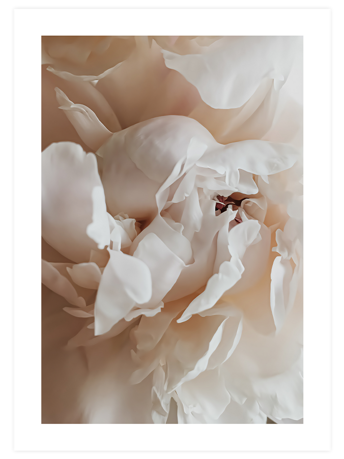 Sweetly - Poster Seti Duo Poster