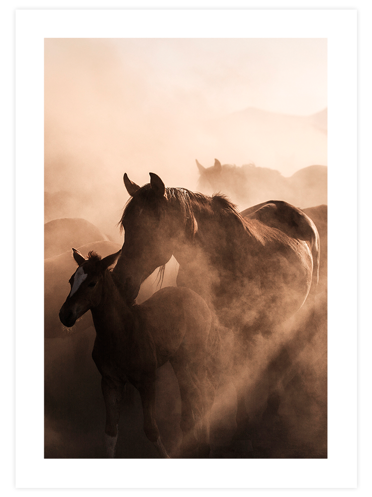 Les Chevaux- Poster Seti Duo Poster