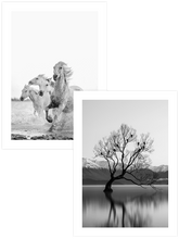 Pure Freedom - Poster Seti Duo