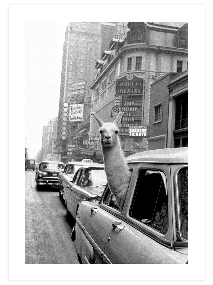 İkonik New York - Poster Seti Duo Poster