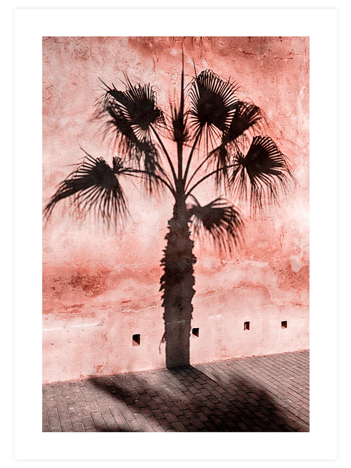 Pink Shades - Poster Seti Duo Poster