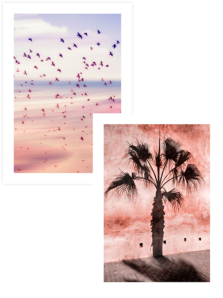 Pink Shades - Poster Seti Duo Fotoğraflar Poster