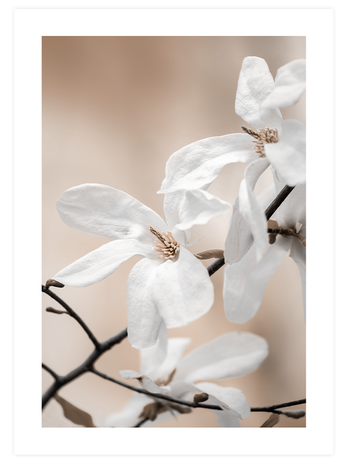 Blooming - Poster Seti Duo Poster