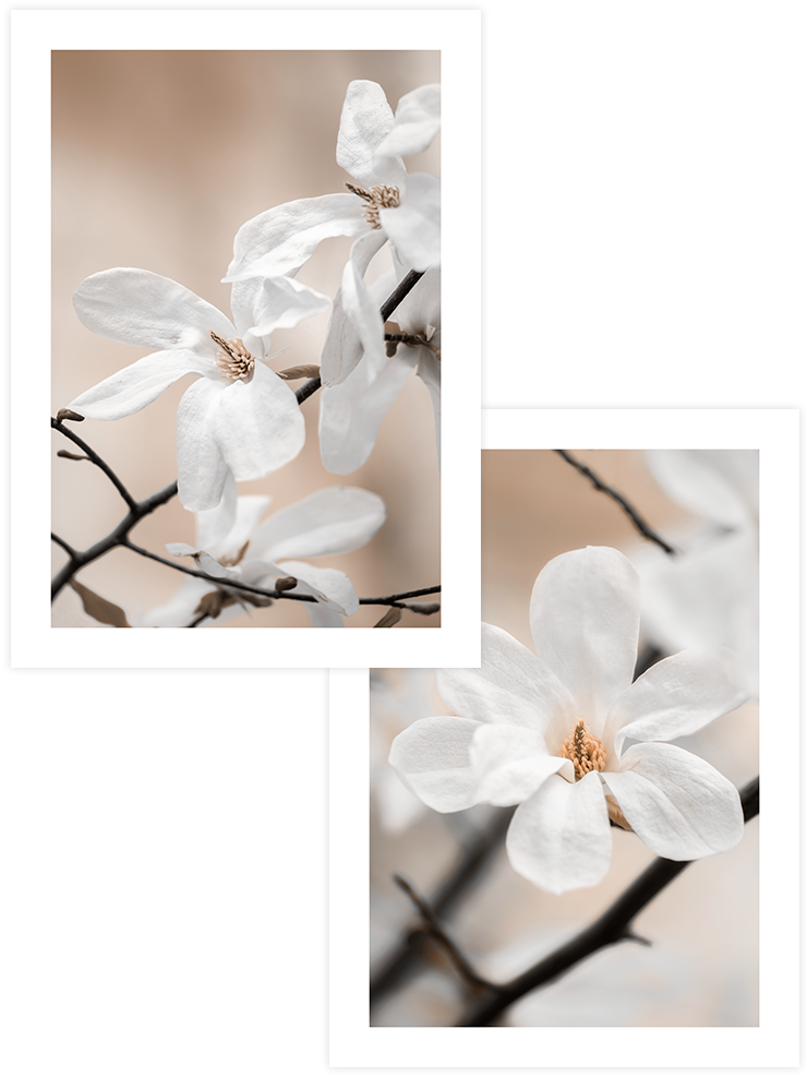 Blooming - Poster Seti Duo Fotoğraflar Poster