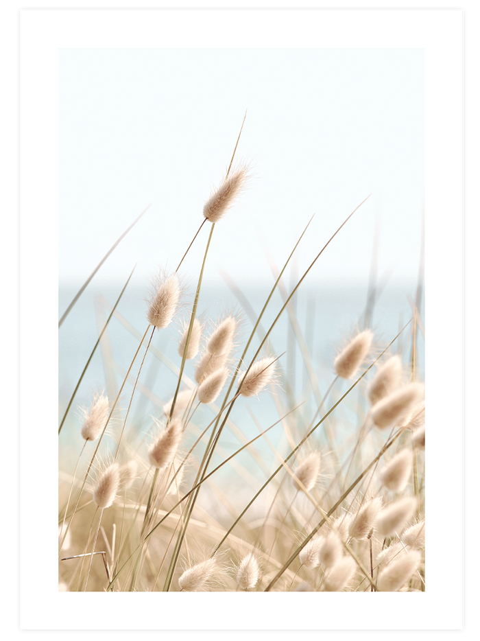 Sound of Nature - Poster Seti Duo Poster