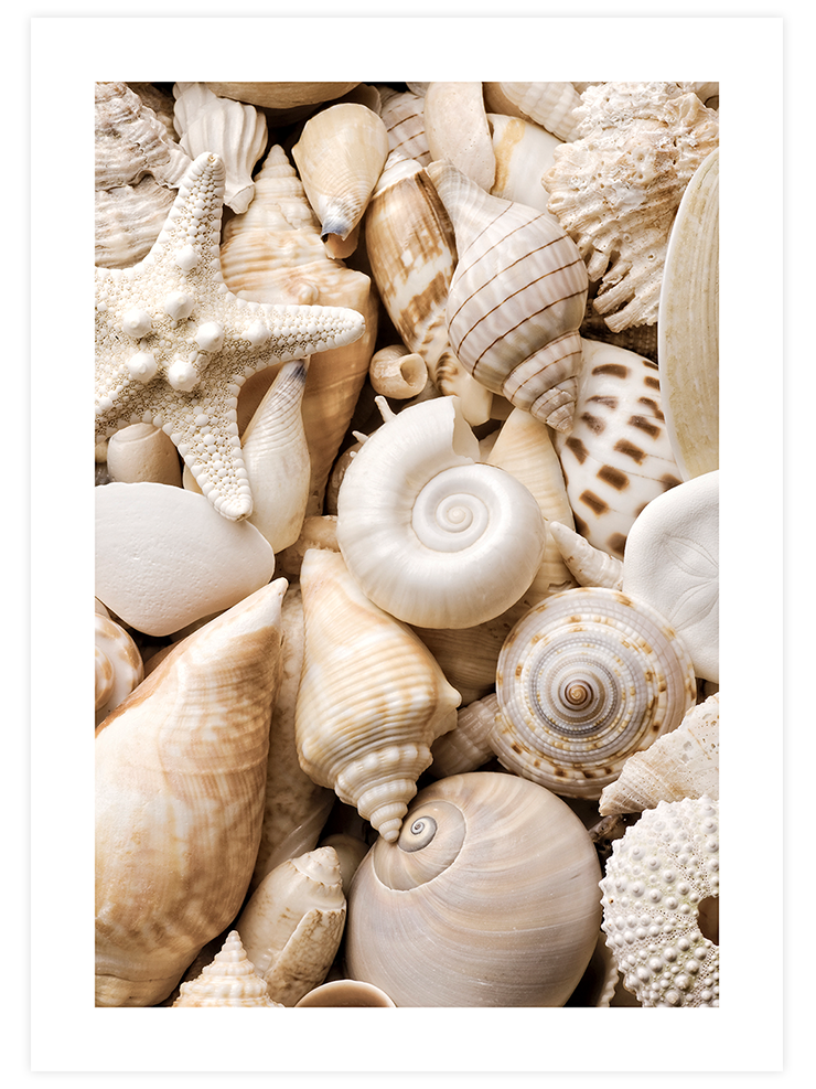 Calming Effect - Poster Seti Duo Poster