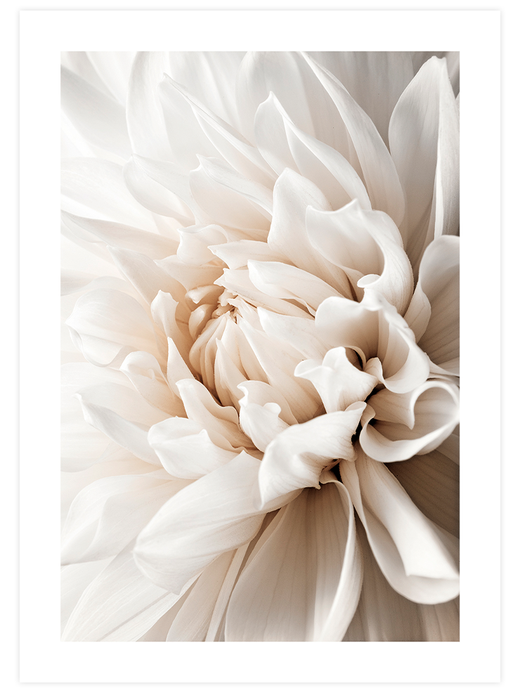 Charme Beige Poster Seti