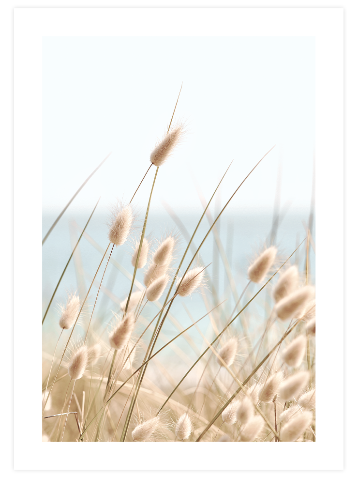 Soft & Quiet Poster Seti