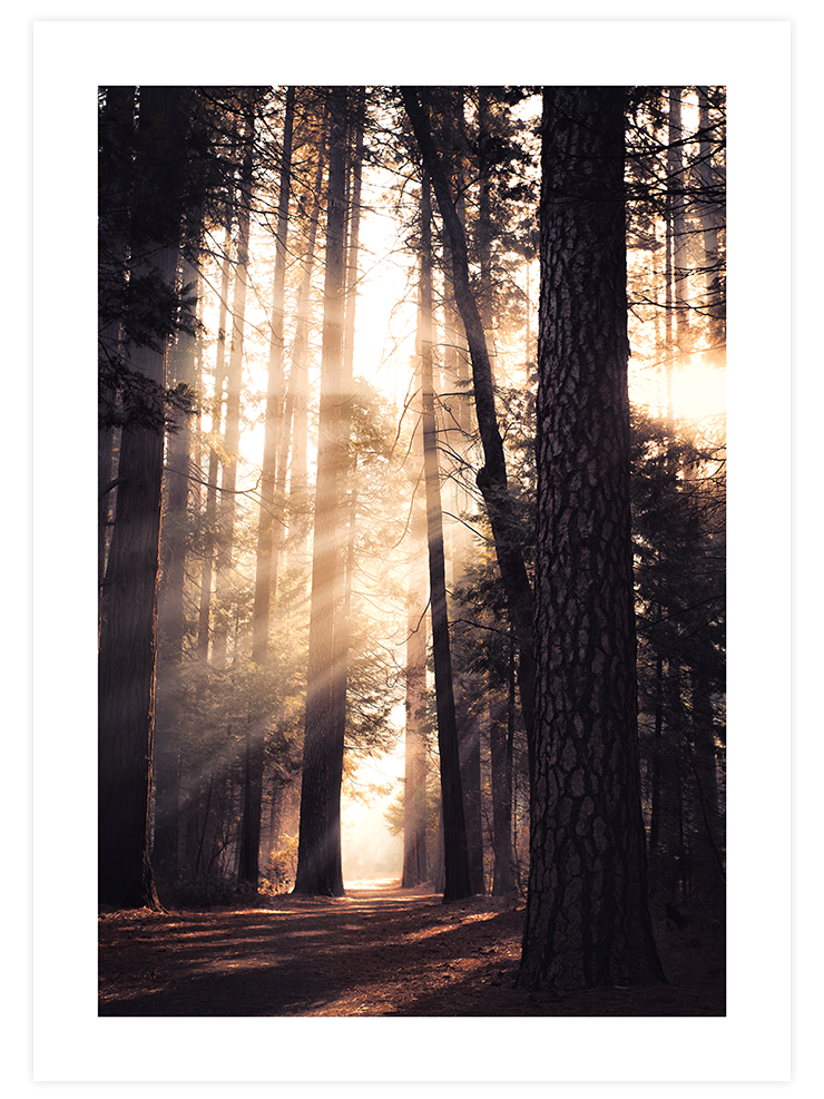 Natural Light - Poster Seti Duo Poster