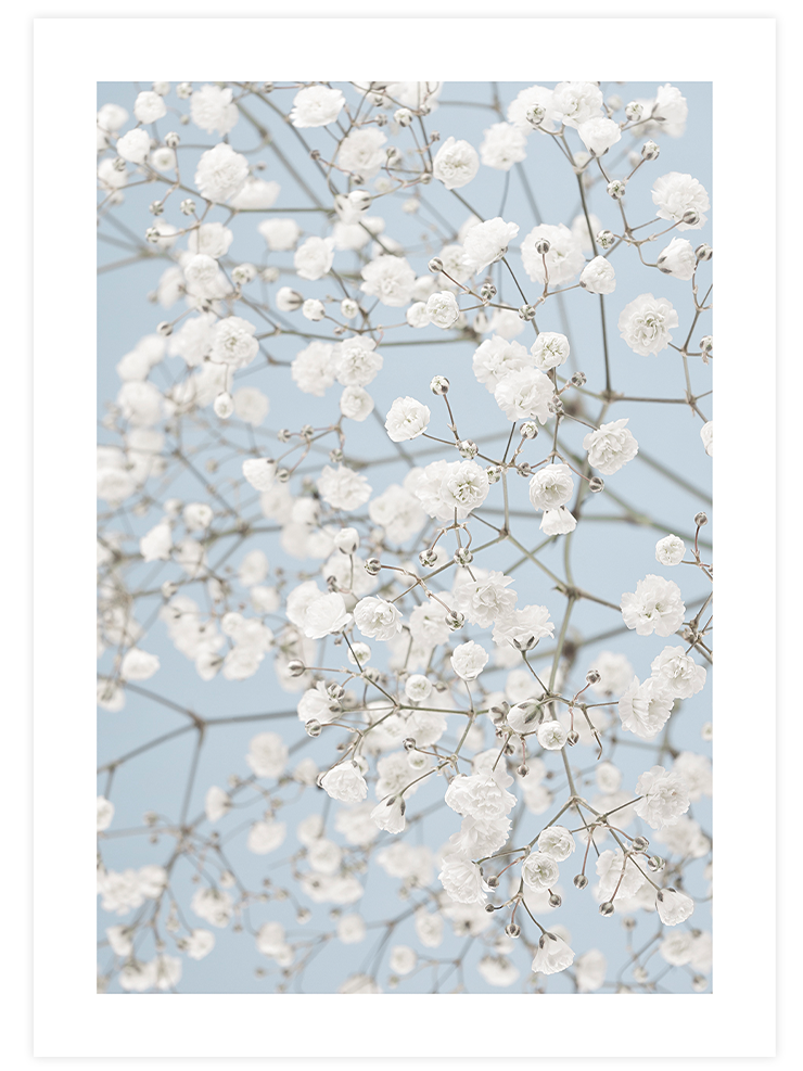 Beige & Blue - Poster Seti Duo Poster